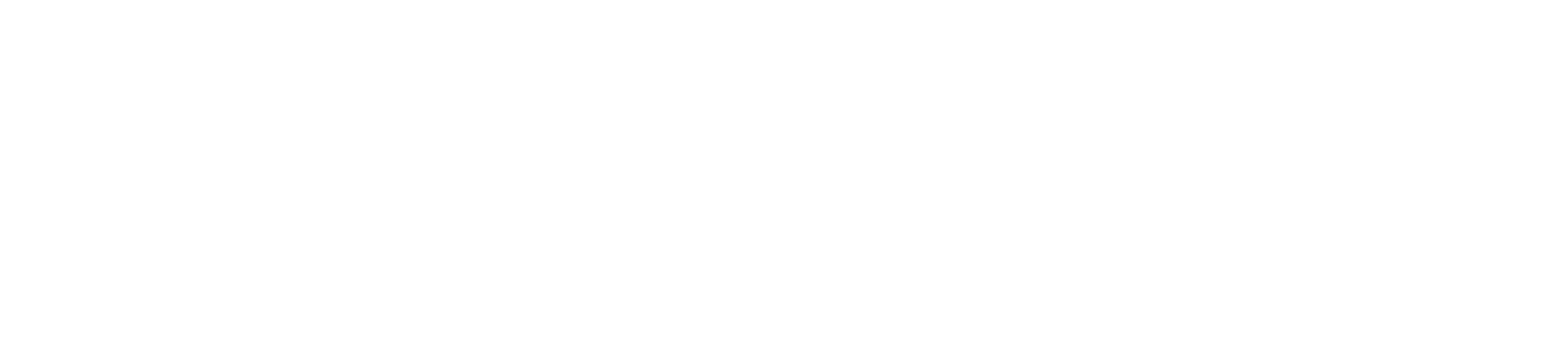 Bi-nakagawa logo